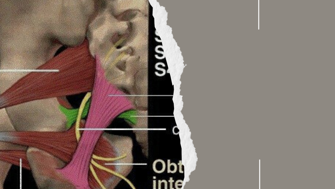 Навчальні програми